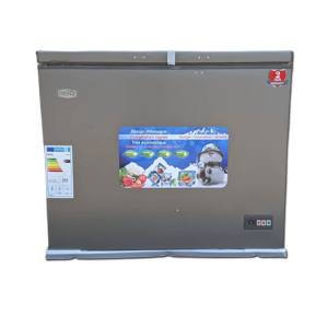 Congélateur Coffre - ROCH - Économique - 244 Litres - Gris - Garantie 6 mois