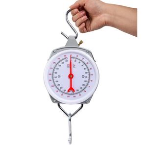 Balance suspendue manuelle, 100 kg, couleur variable