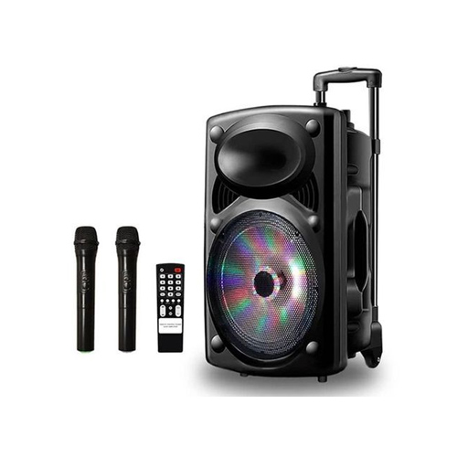 Original Premier Enceinte Bluetooth D-15L Baffle Amplifier + 2 Microphones