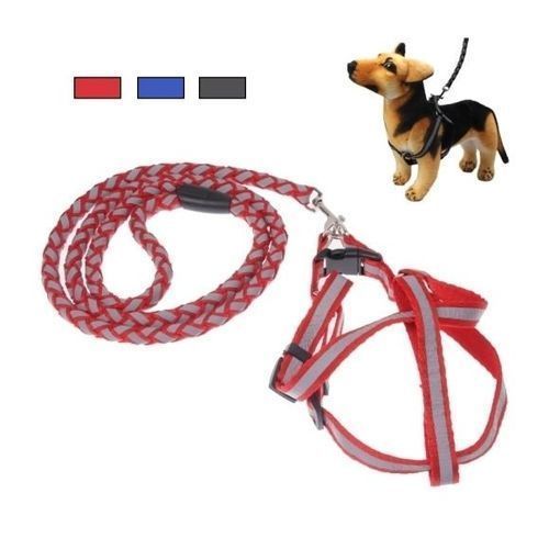 Chaîne De Corde De Sécurité De Chien (Copie)