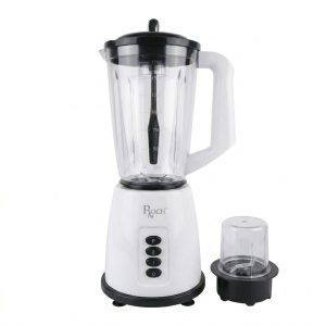 Roch Mixeur - 300W - 1.5 Litres - RBL-202-D - Vert - 1 mois de garantie