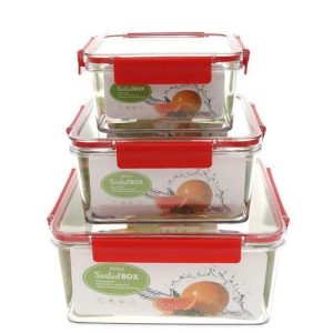 Lot de 3 Boîtes à lunch( alimentaire) avec couvercle sans BPA - couleurs variables
