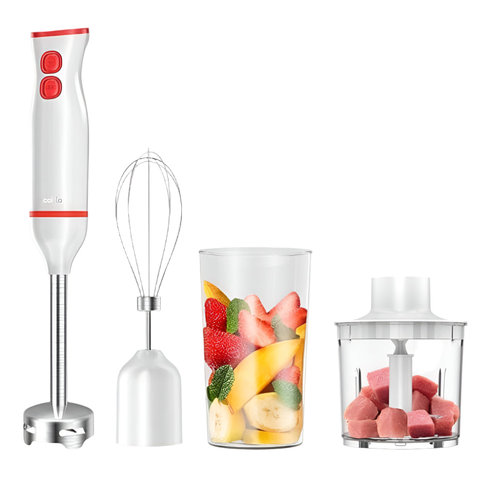 Mixeur plongeant Decakila 250W - KEJB003W
