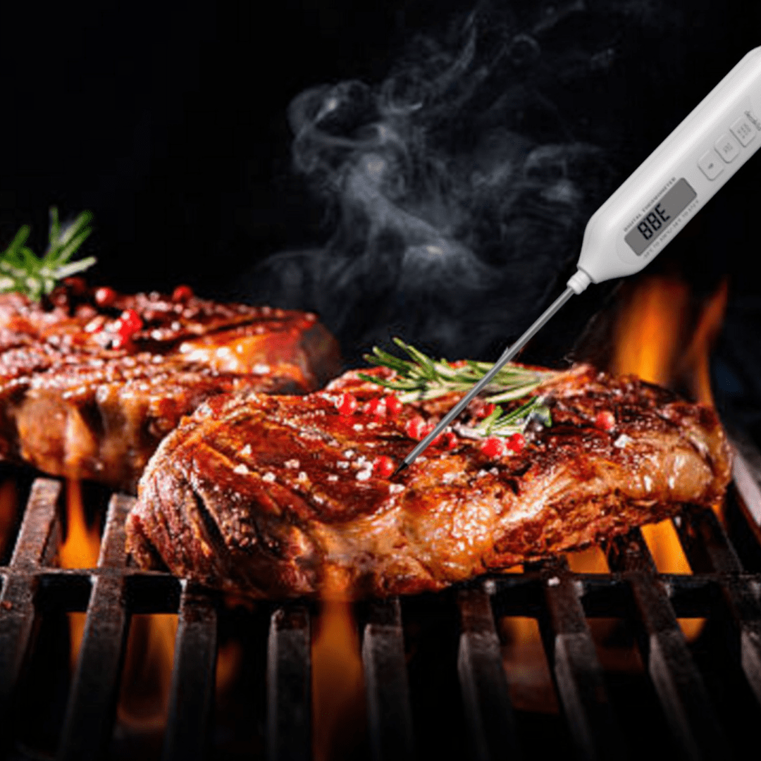 Thermomètre à viande Decakila - KMTT060W-2