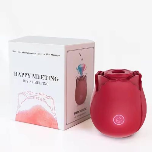 Kingnote Vibrateur Rose G Spot Intime Suckeur Jouets Sexuels pour Vagina Produits Sexuels pour Femmes Adultes