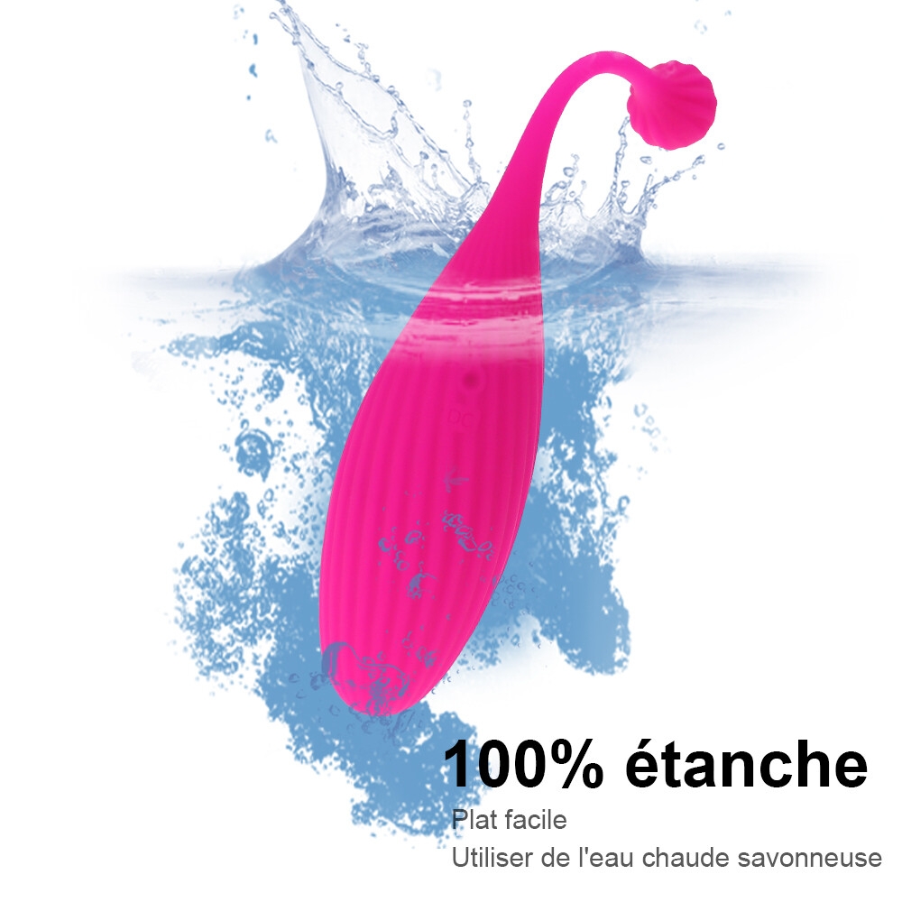 SEXTOYS Vibromasseur à Point G Et Stimulateur Clitorique Sans Fil Pour Femmes, Télécommande Appliquée -- Noir-16