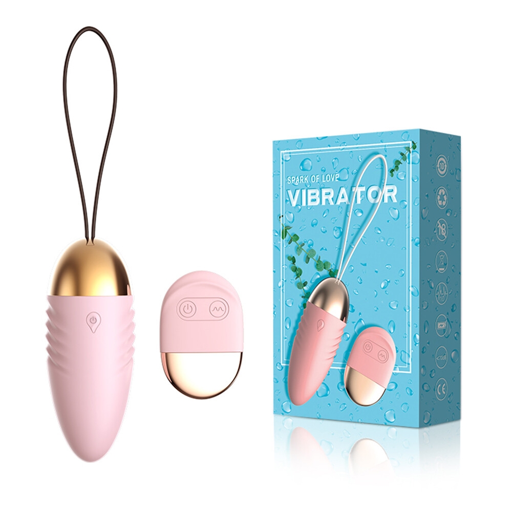 SEXTOYS Vibromasseur à Télécommande,10 Vitesses œuf De Saut, Stimulateur Clitoridien--9