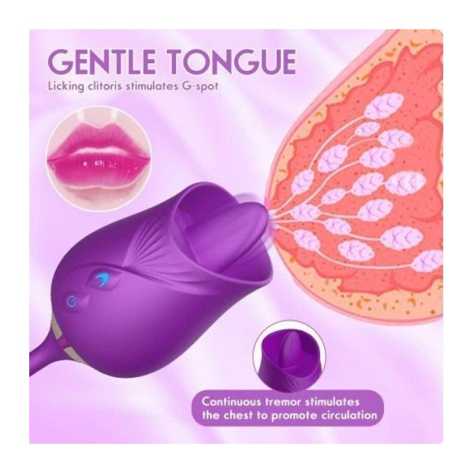 Vibrateur 2-en-1 Premium pour femme : succion (clitoris/point G) et plug anal – Jouet sexuel rechargeable-4